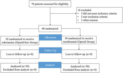 Esketamine opioid-free intravenous anesthesia versus opioid intravenous anesthesia in spontaneous ventilation video-assisted thoracic surgery: a randomized controlled trial